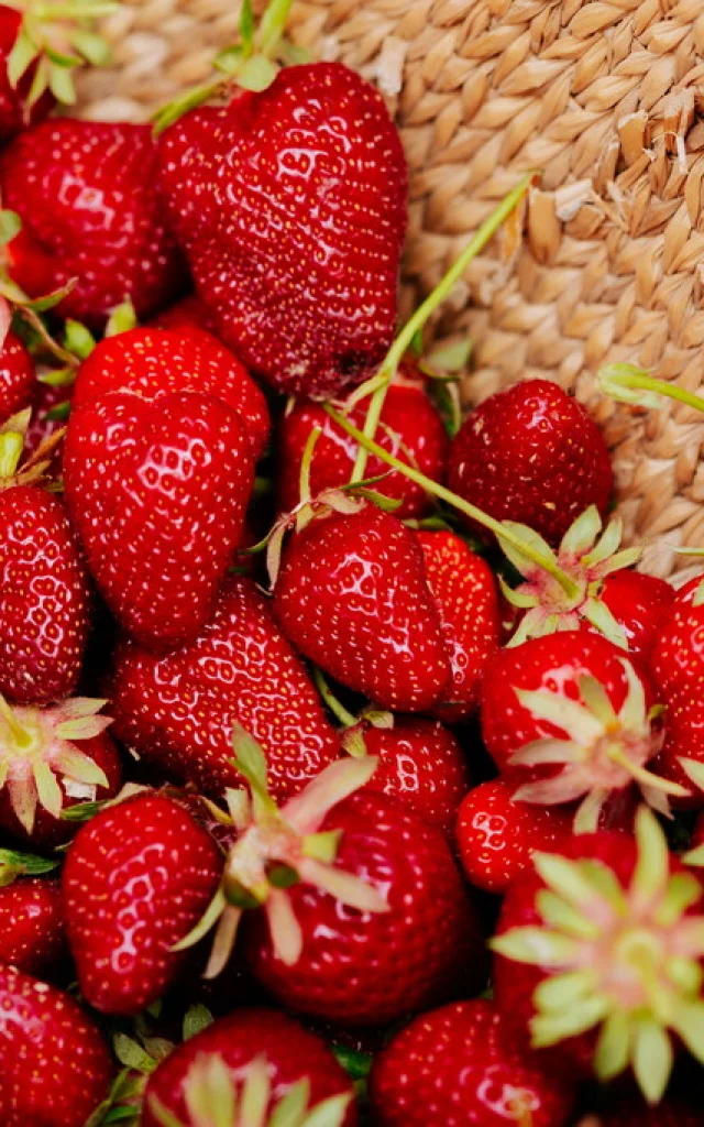 Adt82 06293 Fraises Olivier Rosec