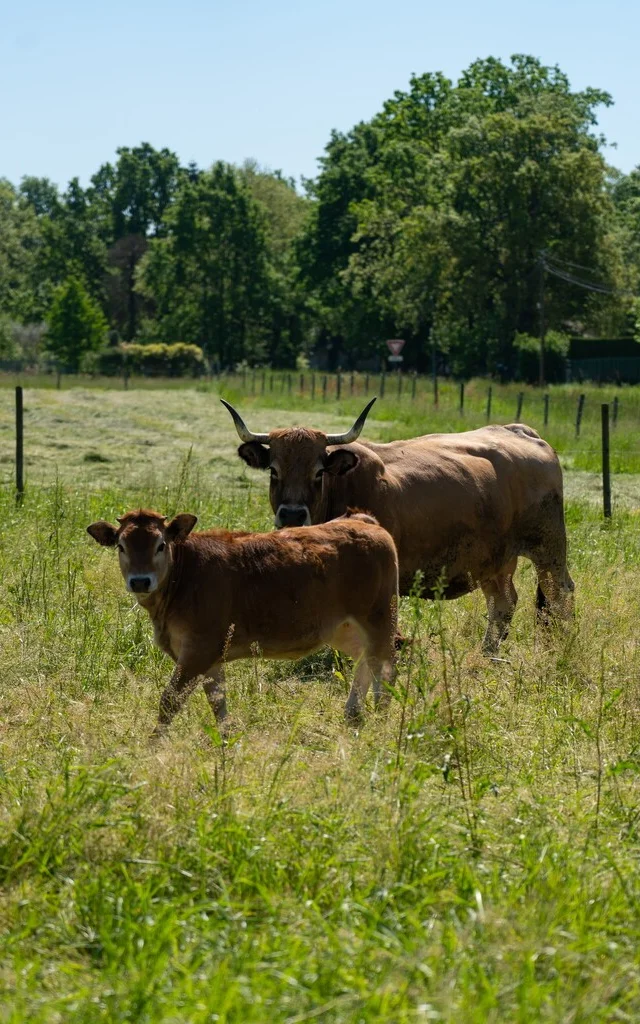 Ferme De La Mondotte Lescoflocs