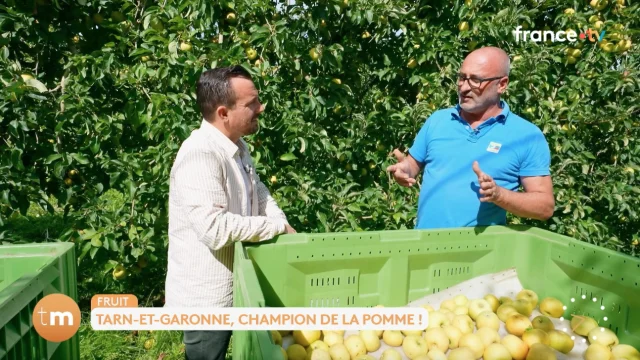 Telematin 20 Octobre Pomme