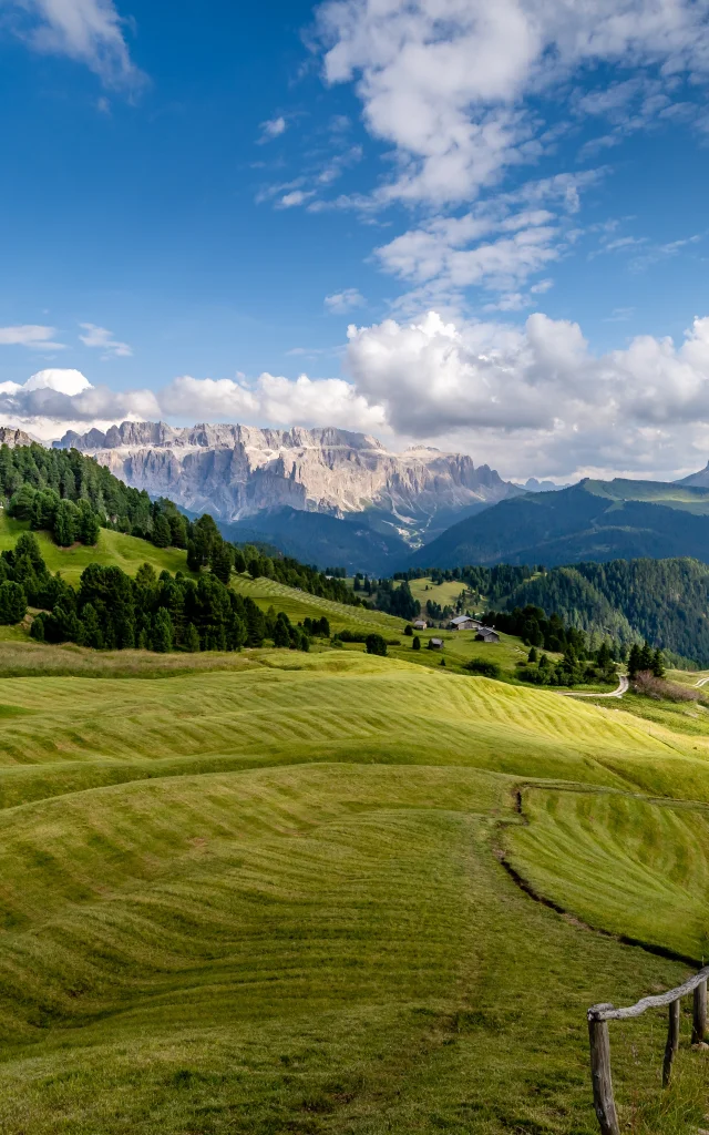 Addon Starter Image 1