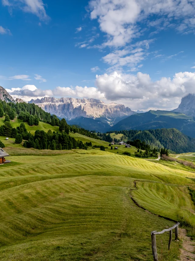 Addon Starter Image 1