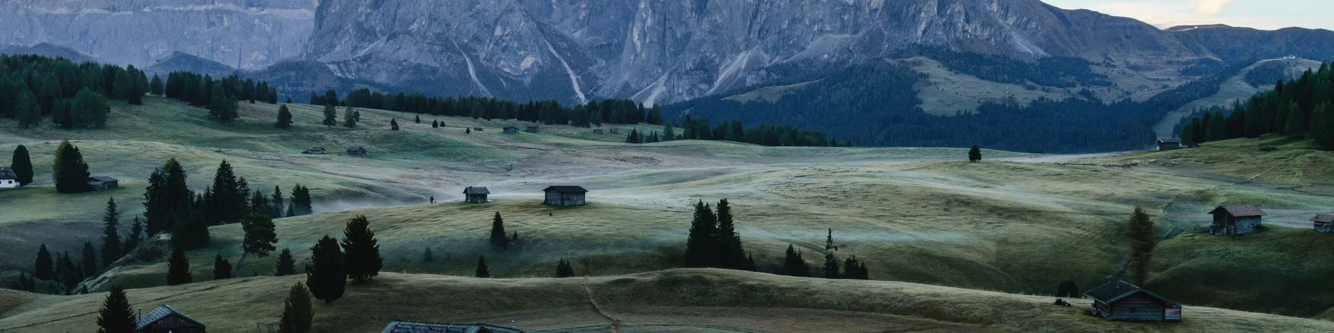 Addon Starter Image 3