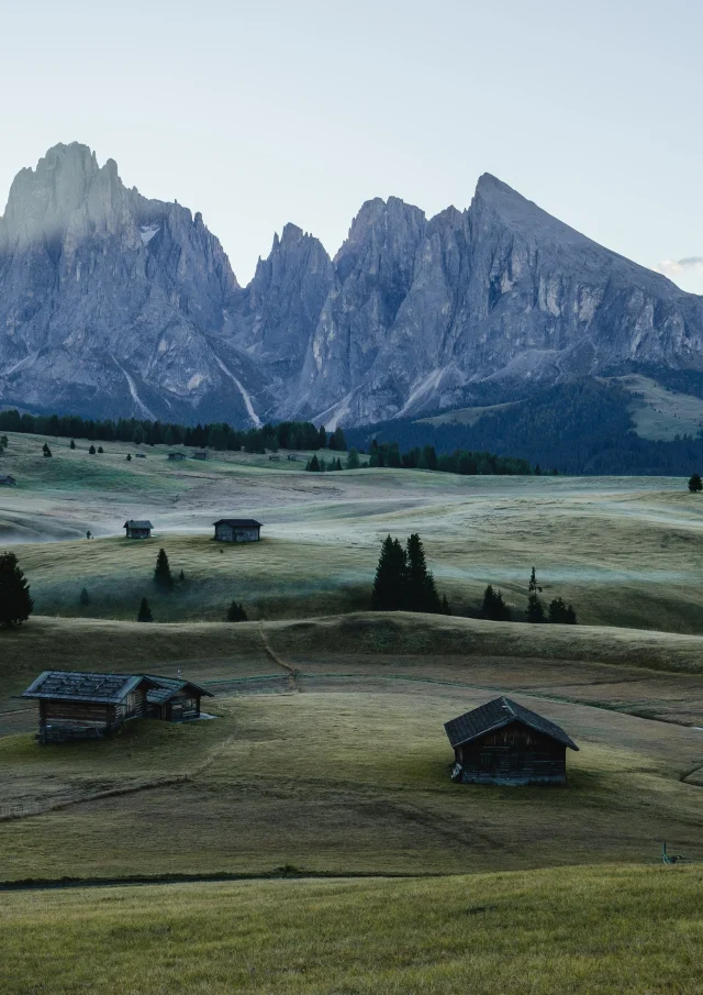 Addon Starter Image 3