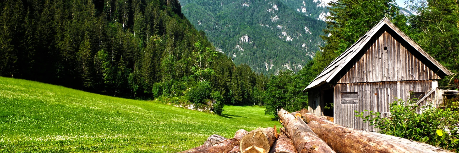 Addon Starter Image 8