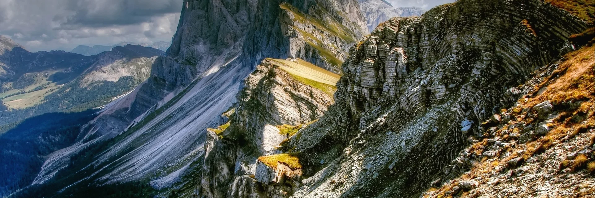 Addon Starter Image 9