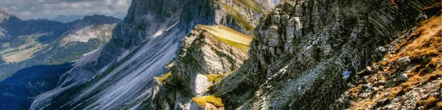 Addon Starter Image 9