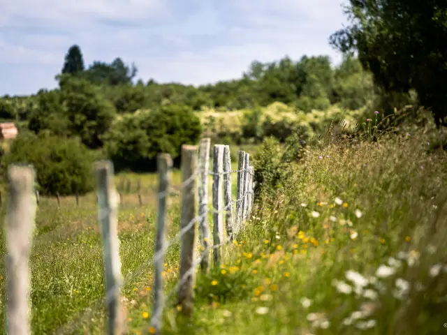 Champs à Pulvérières