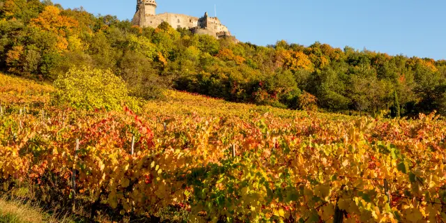 Chateau de Tournoël et vignes à Volvic