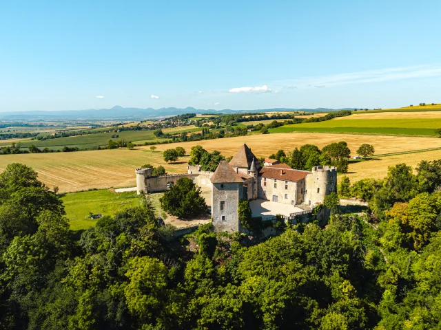 Château de la Roche à Chaptuzat