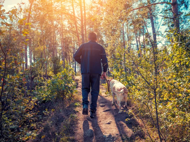 Randonner avec son chien
