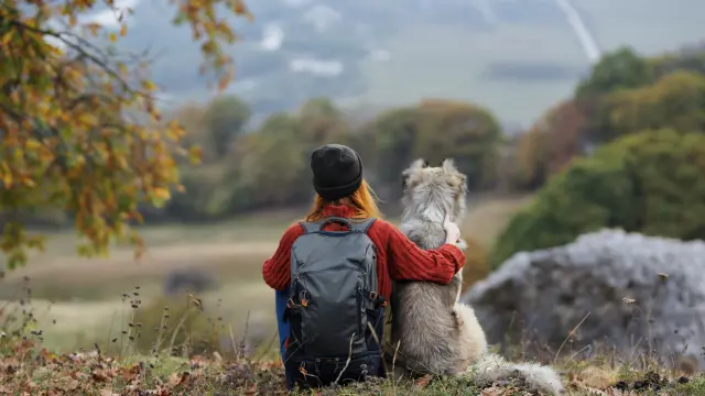 Randonner avec son chien