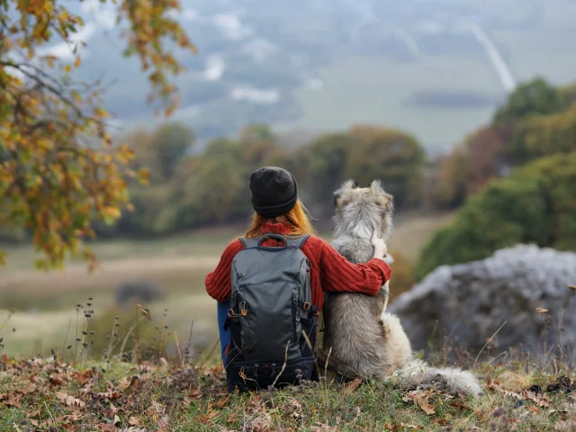 Randonner avec son chien