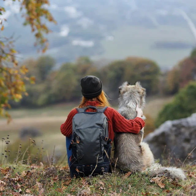 Randonner avec son chien