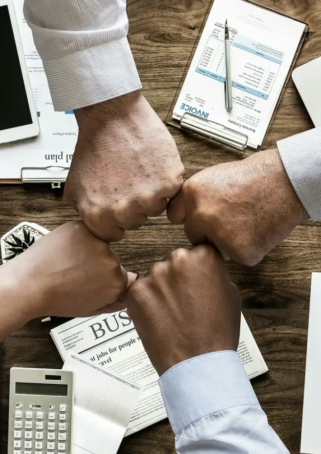 Colaboración en equipo