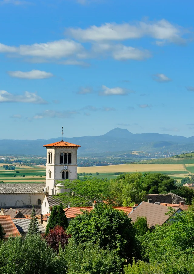 Collégiale Saint-Martin à Artonne depuis le puy Saint-Jean