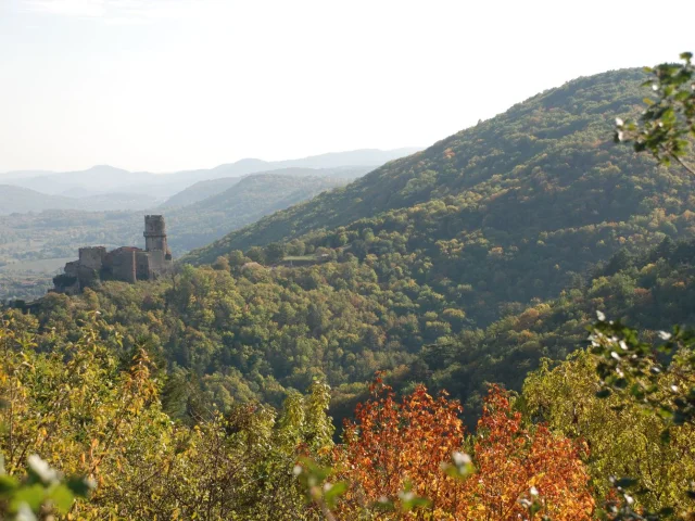 Randonnée à l'ENS - Espace Naturel Sensible - Côte verse à Volvic