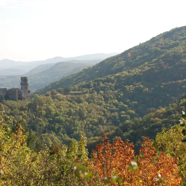 Randonnée à l'ENS - Espace Naturel Sensible - Côte verse à Volvic