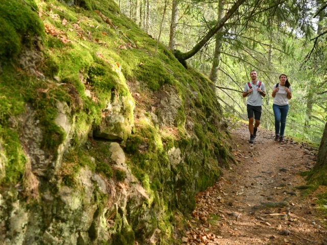 Randonnée à l'ENS - Espace Naturel Sensible - Côte verse à Volvic