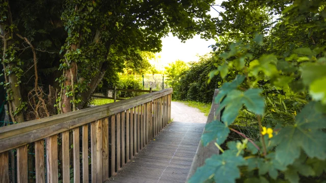 Randonnée Coulée verte de l'Ambène à Mozac