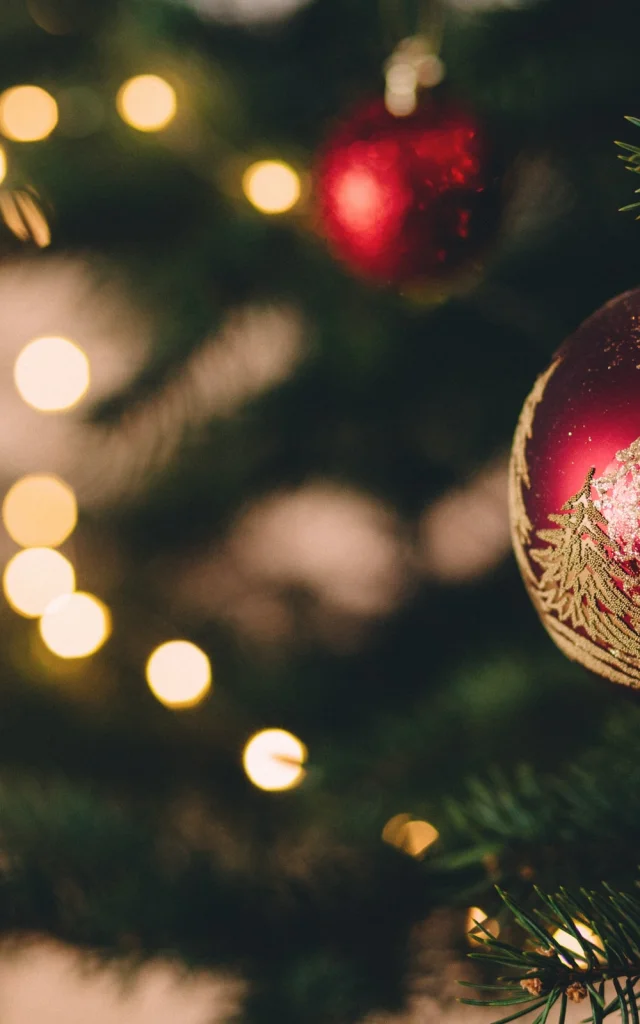 Decoración del árbol de Navidad