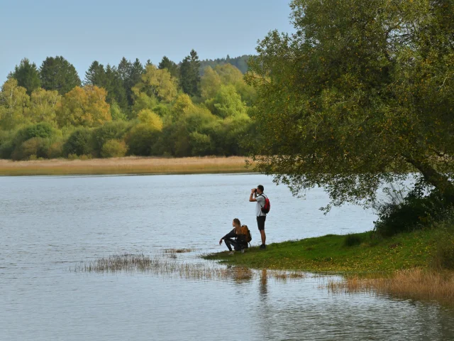 Sentier du grèbe huppé à l'ENS - Espace Naturel Sensible - Etang Grand de Pulvérières