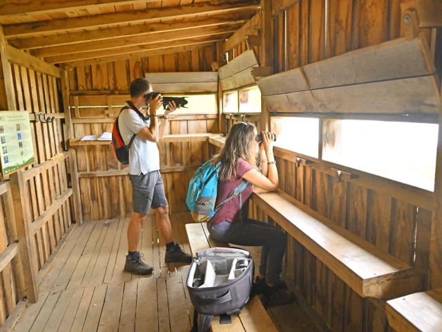 Sentier du grèbe huppé à l'ENS - Espace Naturel Sensible - Etang Grand de Pulvérières