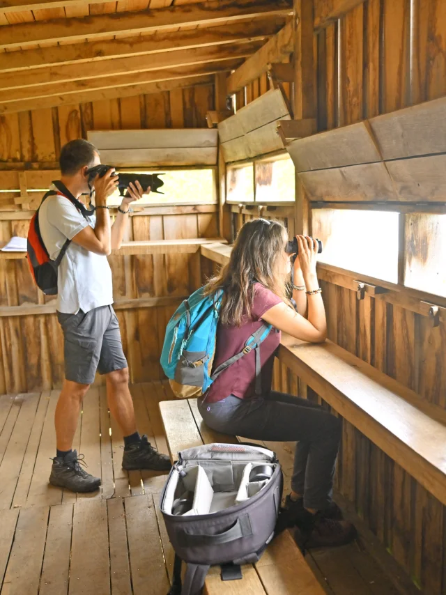 Sentier du grèbe huppé à l'ENS - Espace Naturel Sensible - Etang Grand de Pulvérières