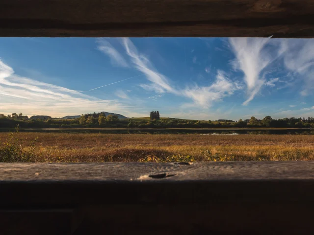 Sentier du grèbe huppé à l'ENS - Espace Naturel Sensible - Etang Grand de Pulvérières