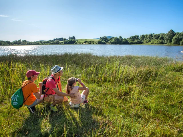 Sentier du grèbe huppé à l'ENS - Espace Naturel Sensible - Etang Grand de Pulvérières