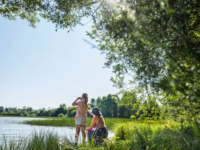 Sentier du grèbe huppé à l'ENS - Espace Naturel Sensible - Etang Grand de Pulvérières