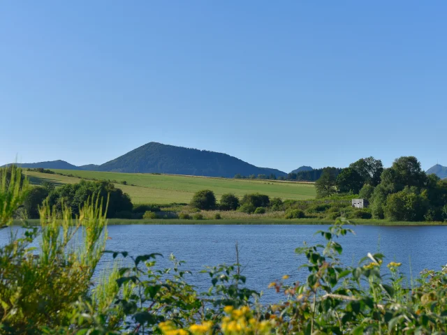 Sentier du grèbe huppé à l'ENS - Espace Naturel Sensible - Etang Grand de Pulvérières