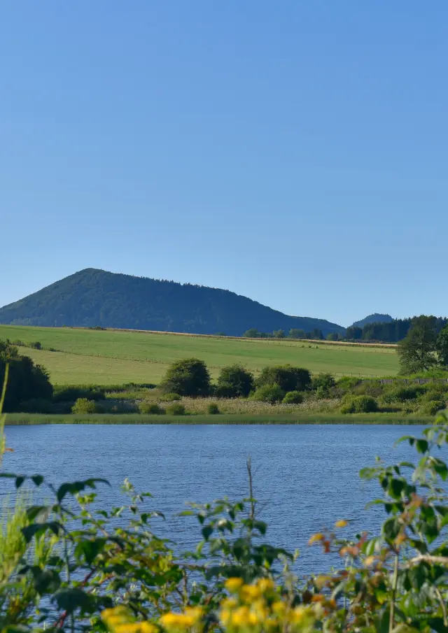 Sentier du grèbe huppé à l'ENS - Espace Naturel Sensible - Etang Grand de Pulvérières