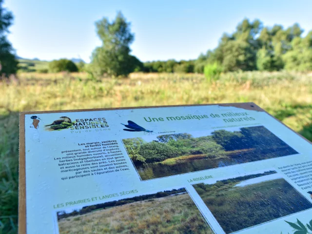 Sentier du grèbe huppé à l'ENS - Espace Naturel Sensible - Etang Grand de Pulvérières
