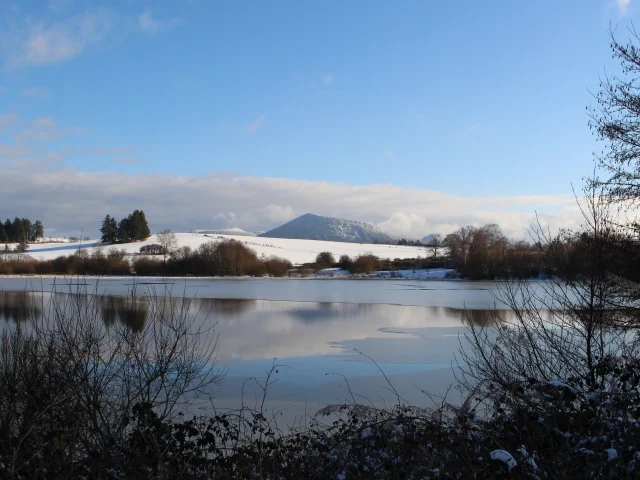 Sentier du grèbe huppé à l'ENS - Espace Naturel Sensible - Etang Grand de Pulvérières en hiver