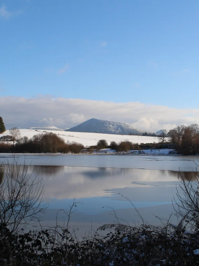 Sentier du grèbe huppé à l'ENS - Espace Naturel Sensible - Etang Grand de Pulvérières en hiver