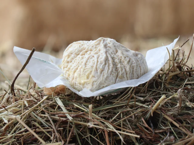 Fromage Maringuois de la ferme de Patricia Ribier à Luzillat