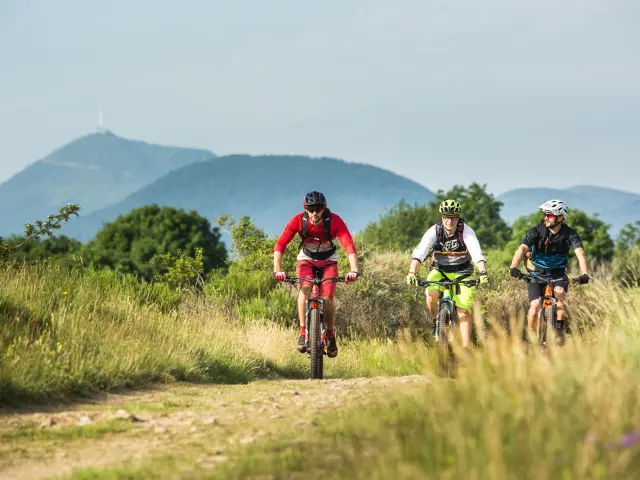 VTT sur le tracé de la GTMC au coeur de la chaîne des puys à Volvic