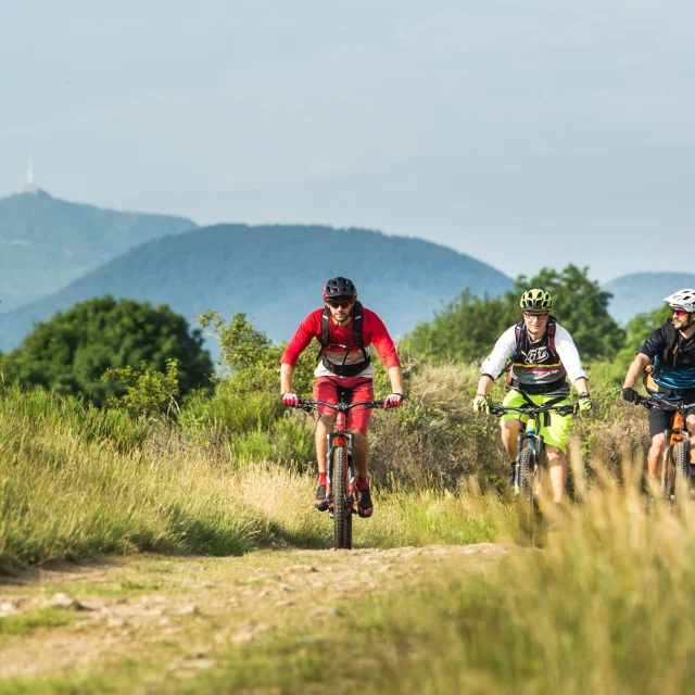 VTT sur le tracé de la GTMC au coeur de la chaîne des puys à Volvic
