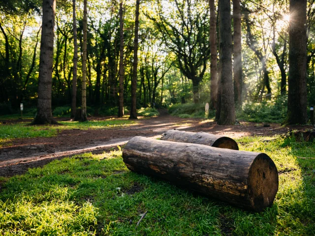 Parcours de santé au Parc de la Source à Volvic