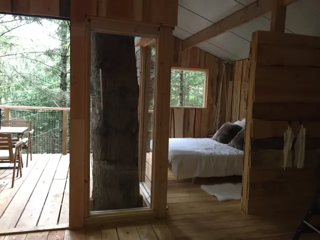 Hébergement insolite La cabane de l'écureuil à Châtel-Guyon