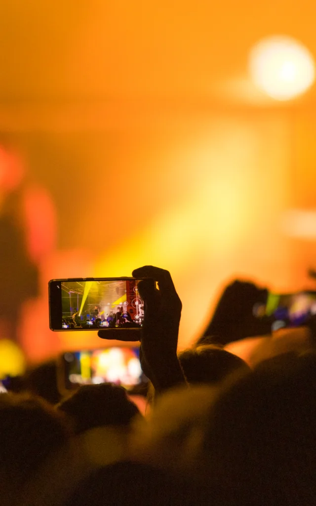 Concierto de gatos en los árboles en Frénésies (Riom)