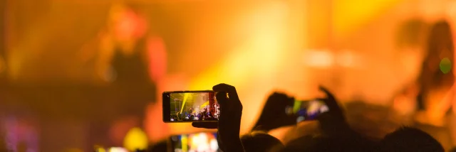 Concierto de gatos en los árboles en Frénésies (Riom)