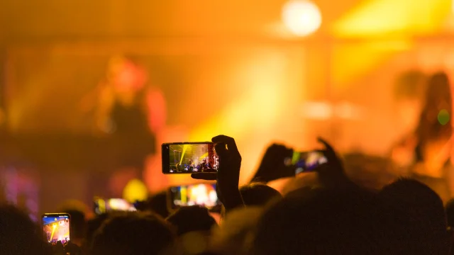 Konzert Cats on trees in Les Frénésies in Riom