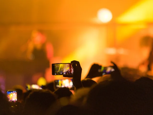 Concierto de gatos en los árboles en Frénésies (Riom)