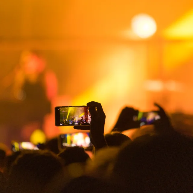 Cats on trees concert at Frénésies in Riom