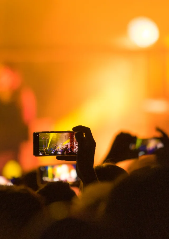 Concierto de gatos en los árboles en Frénésies (Riom)