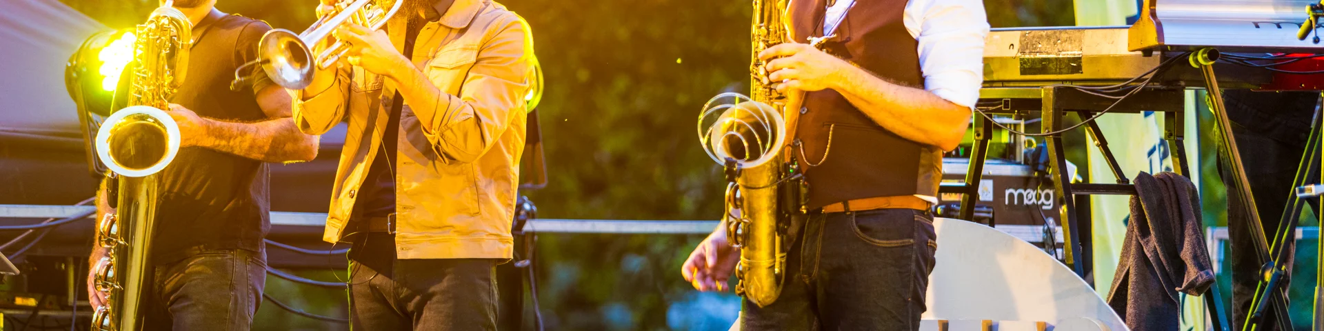 Concert Thomas Kahn aux Frénésies à Riom