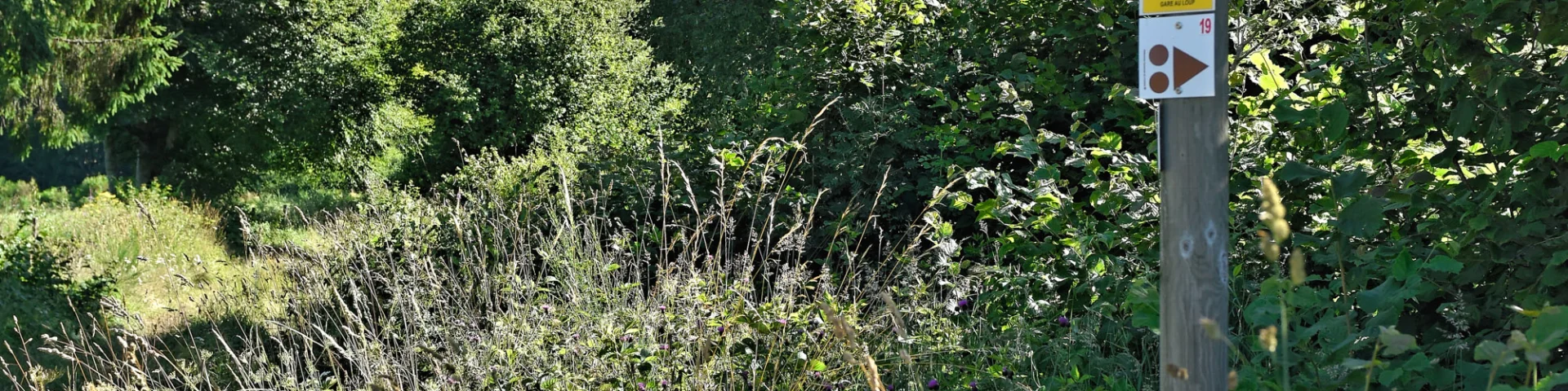 Randonnée aux puys Jumes, Coquille et Louchadière à Saint-Ours-les-Roches