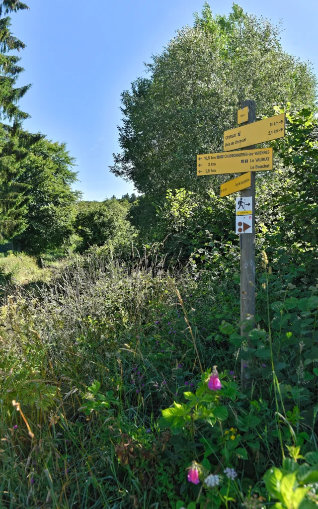 Randonnée aux puys Jumes, Coquille et Louchadière à Saint-Ours-les-Roches