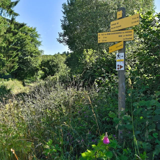 Randonnée aux puys Jumes, Coquille et Louchadière à Saint-Ours-les-Roches